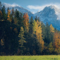 Plan Your Norfolk Pole Building Project with Expert Tree Care